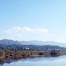 충렬로가로수 이미지