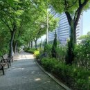 미추홀대로 이미지