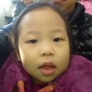 해맞이태권도 이미지