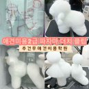 추건우애견미용학원