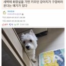 루 이미지