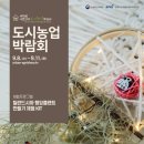 행잉플랜트 공기정화식물체험 이미지