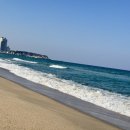카페로사 - 군포시 고산로 529 | 카페로사