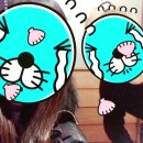 사이야(일산백석점) | 백석이자카야 분위기좋은 사이야