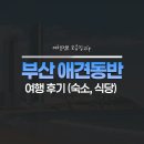 부산애견 | 부산 애견동반 숙소 및 식당 여행 후기 (찐후기 작성)