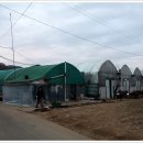 준원농장 이미지