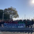 당진3동 이팝나무 이미지