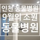 9월의 소원 동물병원 | 인천 동물병원추천 :: 9월의소원동물병원