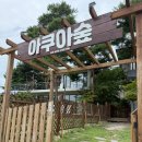 숲속초교 | 속초여행)속초 아쿠아숲 카페 후기