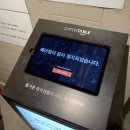 신당동 연해장 곱창전골 맛집 / 동대문 DDP 워너브라더스 100주년 전시 후기