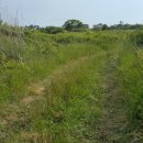 조천체육관 이미지