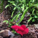 세진메디 | 수족관 17곳 방문 후 써보는 서울 수족관 추천 (상아쿠아, 아쿠아리스모, 루아쿠아, 팀아쿠아 등등)