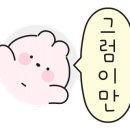 네시일분 뷰티