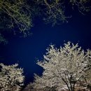 산솔캠핑장 이미지