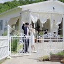 아드레이 이미지