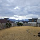 검빵이네 이미지