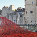 유네스코세계유산- 런던 탑 / 양귀비 / 서부 전선 이상 없다 이미지