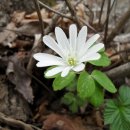 석개재(도 경계) 이미지