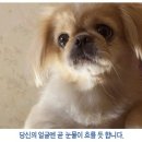월