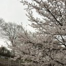 덕풍천서로 이미지