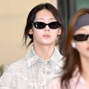로라 Daum카페