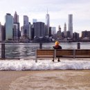 호꿀이네 이미지