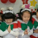 뿌리 유치원 이미지