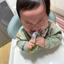 과일총판 네이버블로그