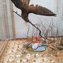 하남유니온타워 1층 이미지