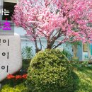 상명대학교사범대학부속초등학교 이미지