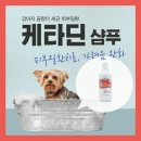 온누리강변프라자약국 이미지