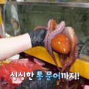 과천해신탕
