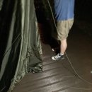 호명산잣나무숲캠핑장 이미지