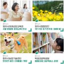원주시립합창단 제112회 정기연주회 | 원주시미래성장교육관 경제교육, 시립합창단 정기연주회, 반려견 쉼터, 박경리문학공원 그림책버스 안내