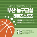 레이즈스포츠농구