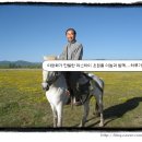 한필마장 이미지