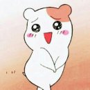 인성 카카오 검색결과