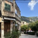 항구 | [마요르카 1일차] 발데모사, 소예르, 소예르 항구 뚜벅이 후기