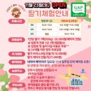 진주팜농약 | 경남 진주 아이와 가볼만한 곳 키즈 카페 같은 딸기따기 체험 ‘다은 딸기’