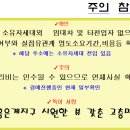 은빛초교 Daum카페