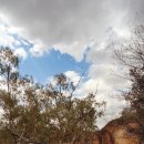 핏츠(PITS) 이미지