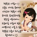 세라비 이미지
