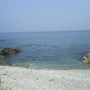 대진축산 이미지