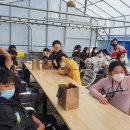 진안중앙초등학교 이미지