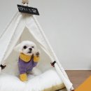 스테이105 이미지