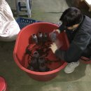 정주농장 이미지