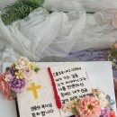 꽃담케이크 이미지