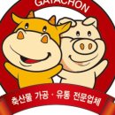 가야촌 이미지