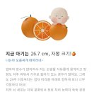 오일파크 이미지