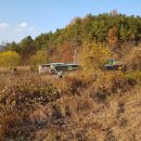 서대리농장 이미지